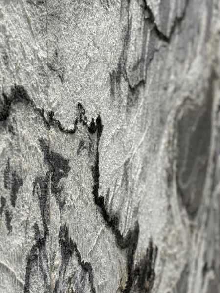 rayan-studio-our-story-who-we-are